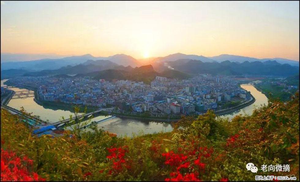 【春天,广西桂林灌阳县向您发出邀请!】登麒麟山,相约映山红 - 游山玩水 - 济源生活社区 - 济源28生活网 jiyuan.28life.com