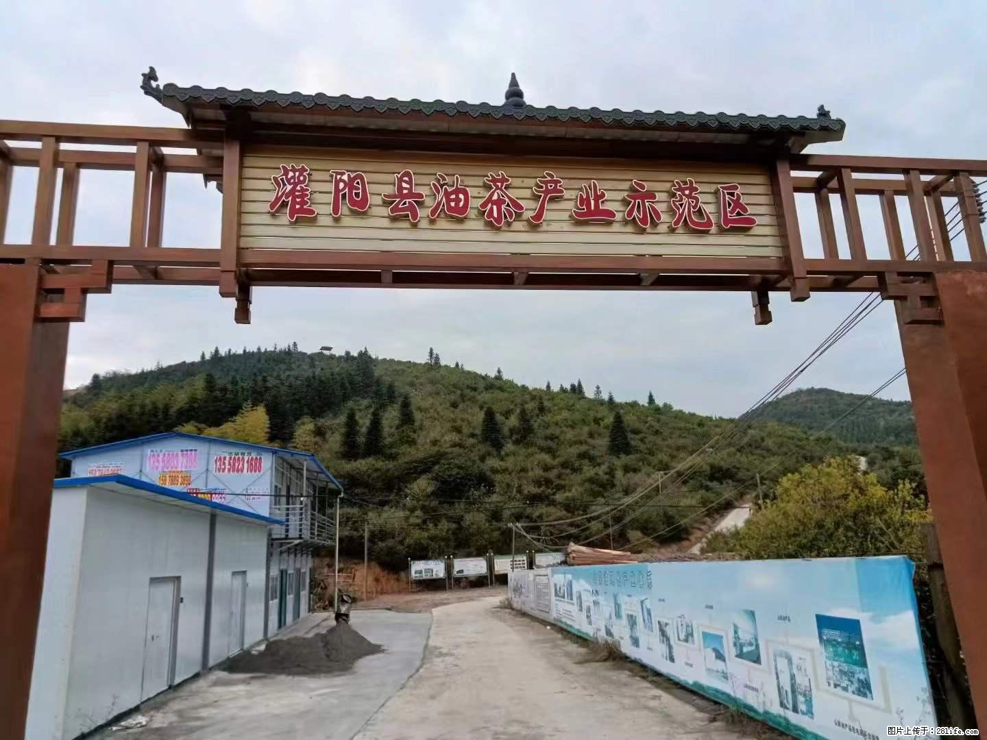 【灌阳县油茶产业示范区】一个有着充实的精神生活的人,对待身外之物自会有一种淡泊的态度 - 美食天地 - 济源生活社区 - 济源28生活网 jiyuan.28life.com