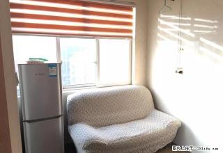 时代朝南独立一室一厅精装全配,需要抓紧联系我 - 济源28生活网 jiyuan.28life.com