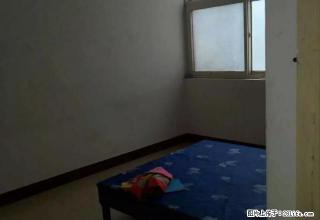 宋庄新盖独院 带部分家具 可直接入住 - 济源28生活网 jiyuan.28life.com