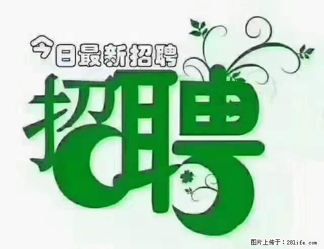 【招聘摄像师】待遇:试用期6000元/月,转正7000元/月+五险一金+餐补+节日福利+奖金 - 职场交流 - 济源生活社区 - 济源28生活网 jiyuan.28life.com