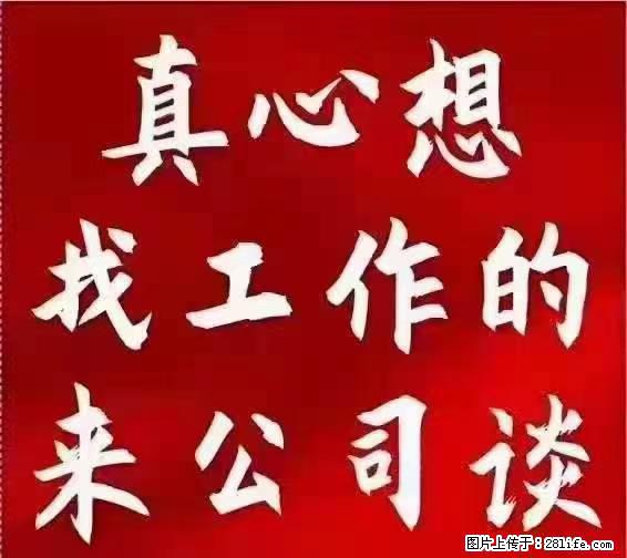 【上海】国企,医院招两名男保安,55岁以下,身高1.7米以上,无犯罪记录不良嗜好 - 职场交流 - 济源生活社区 - 济源28生活网 jiyuan.28life.com