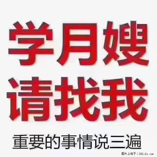 【招聘】月嫂，上海徐汇区 - 济源28生活网 jiyuan.28life.com