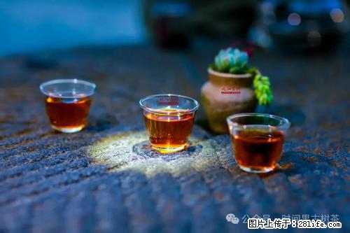 时间果百年古树2025年春红茶 - 购物交流 - 济源生活社区 - 济源28生活网 jiyuan.28life.com