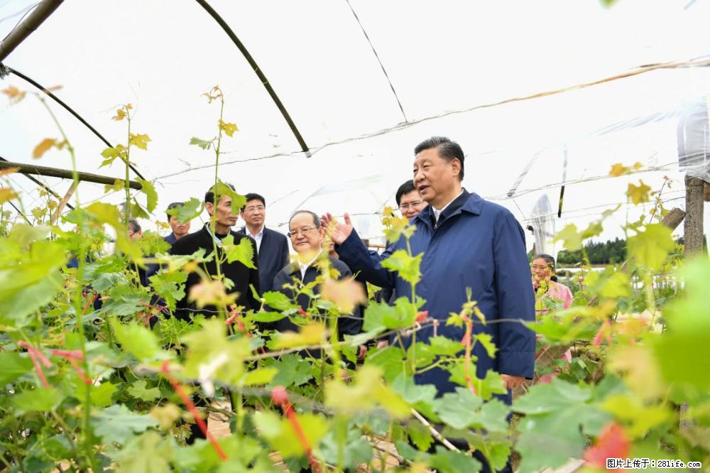 习近平赴广西考察调研 - 济源生活资讯 - 济源28生活网 jiyuan.28life.com
