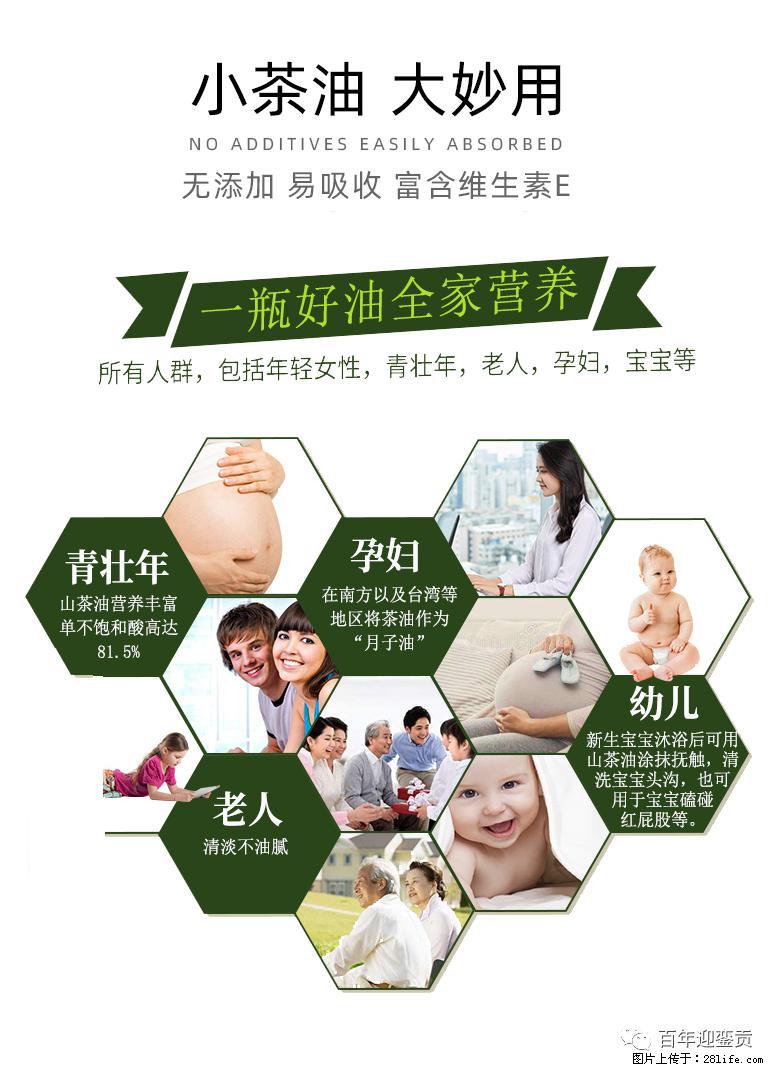 世界没有真相,只有认知,最好的食用油是中国的山茶油! - 济源生活资讯 - 济源28生活网 jiyuan.28life.com