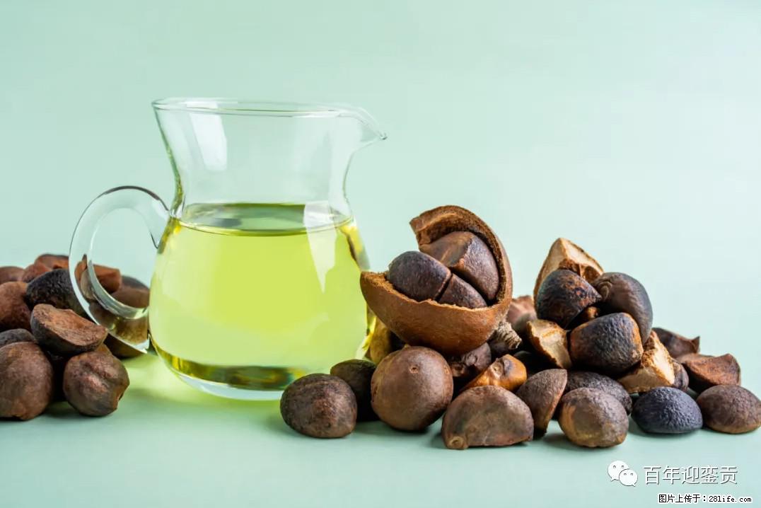 世界没有真相，只有认知，最好的食用油是中国的山茶油！ - 济源生活资讯 - 济源28生活网 jiyuan.28life.com