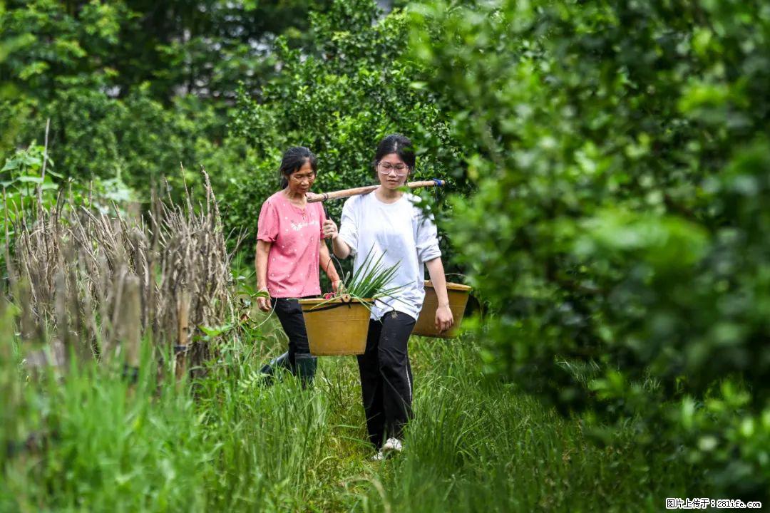 全网追的“扁担女孩”，找了一份暑假工，时薪12元 - 济源生活资讯 - 济源28生活网 jiyuan.28life.com
