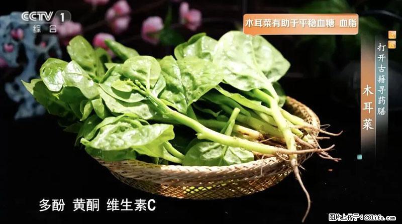 比牛奶补钙还厉害！凉血解毒、稳血糖...这菜冬天必吃，很多人却当草 - 济源生活资讯 - 济源28生活网 jiyuan.28life.com