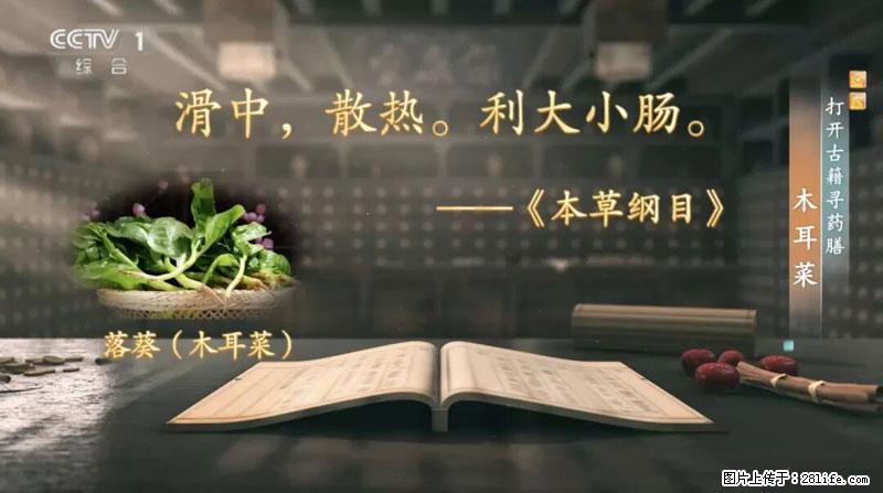 比牛奶补钙还厉害！凉血解毒、稳血糖...这菜冬天必吃，很多人却当草 - 济源生活资讯 - 济源28生活网 jiyuan.28life.com