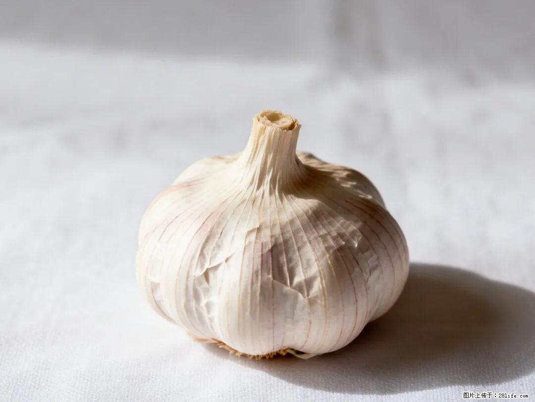 关于大蒜,除了“天然抗生素”,这4个谣言更该警惕! - 济源生活资讯 - 济源28生活网 jiyuan.28life.com
