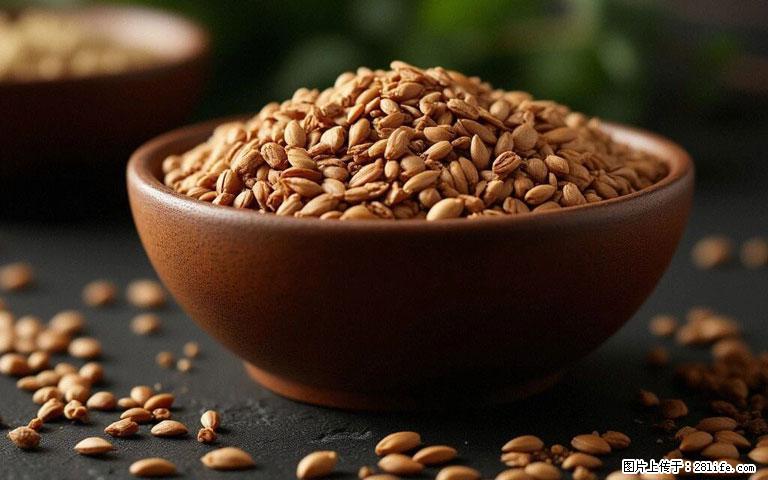 这三苦是三高“克星”,心血管干净不易堵!每天吃一点,指标慢慢降下来~ - 济源生活资讯 - 济源28生活网 jiyuan.28life.com