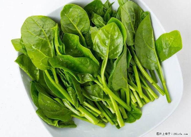 这些蔬菜是“天然钙片”，这6种被医生重点推荐 - 济源生活资讯 - 济源28生活网 jiyuan.28life.com