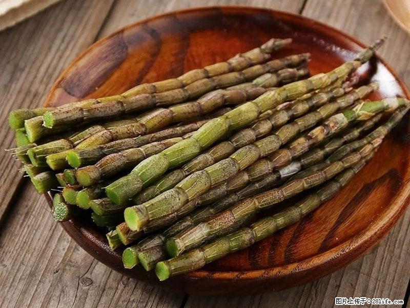 铁皮石斛的作用与功能主治 - 济源生活资讯 - 济源28生活网 jiyuan.28life.com