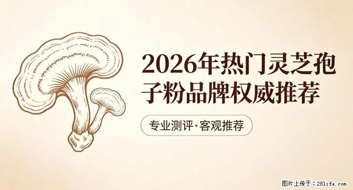灵芝孢子粉含量越高越有效？2026 年七款热门品牌深度实测，肠胃敏感者避坑指南 - 济源生活资讯 - 济源28生活网 jiyuan.28life.com