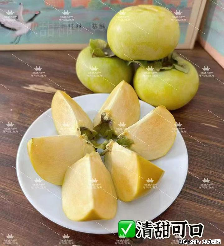 广西桂林平乐桥亭【红心猕猴桃】、【大秋甜柿】上市啦，欢迎各位新老客户下单（另有少量小果出售） - 济源生活资讯 - 济源28生活网 jiyuan.28life.com